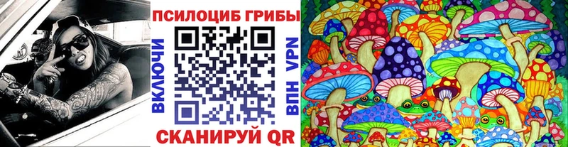Галлюциногенные грибы Psilocybe  Любим 